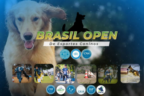 Brasil Open CBKC – Modalidade Agility
